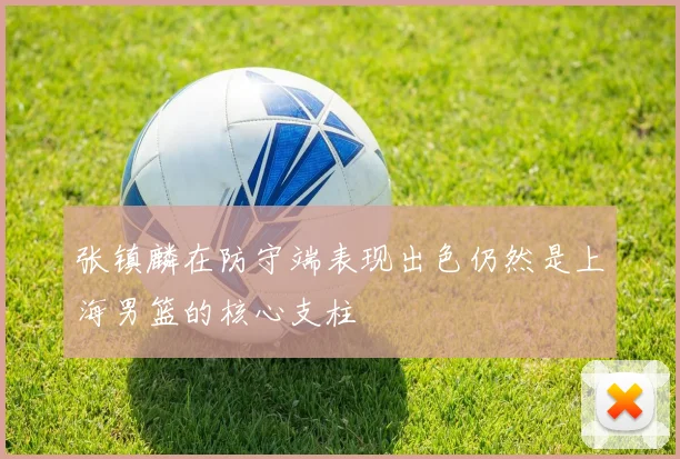 张镇麟在防守端表现出色仍然是上海男篮的核心支柱